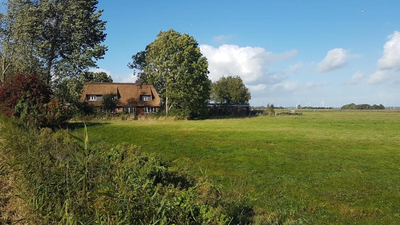 Ferienwohnung Diekblick - Kleiner Deichhof Hattstedtermarsch Zewnętrze zdjęcie