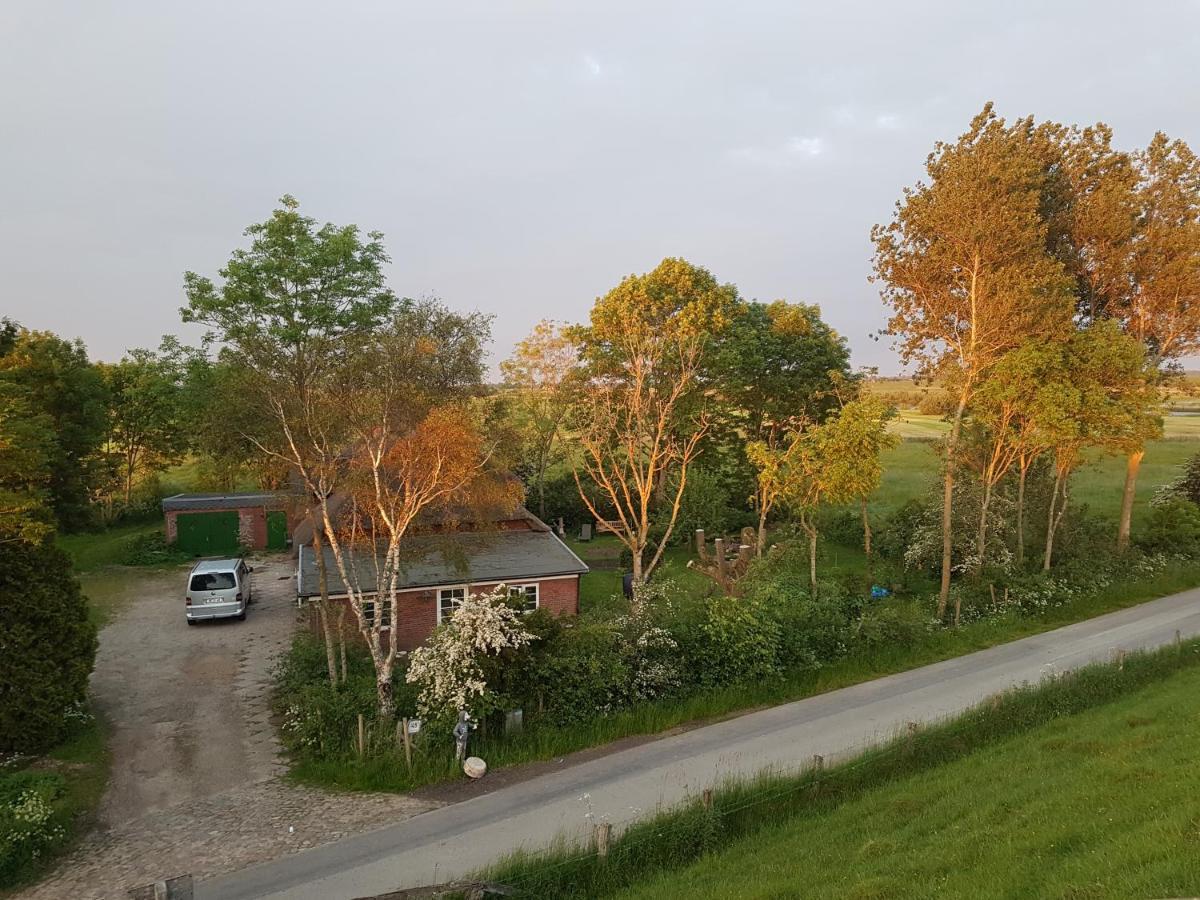 Ferienwohnung Diekblick - Kleiner Deichhof Hattstedtermarsch Zewnętrze zdjęcie